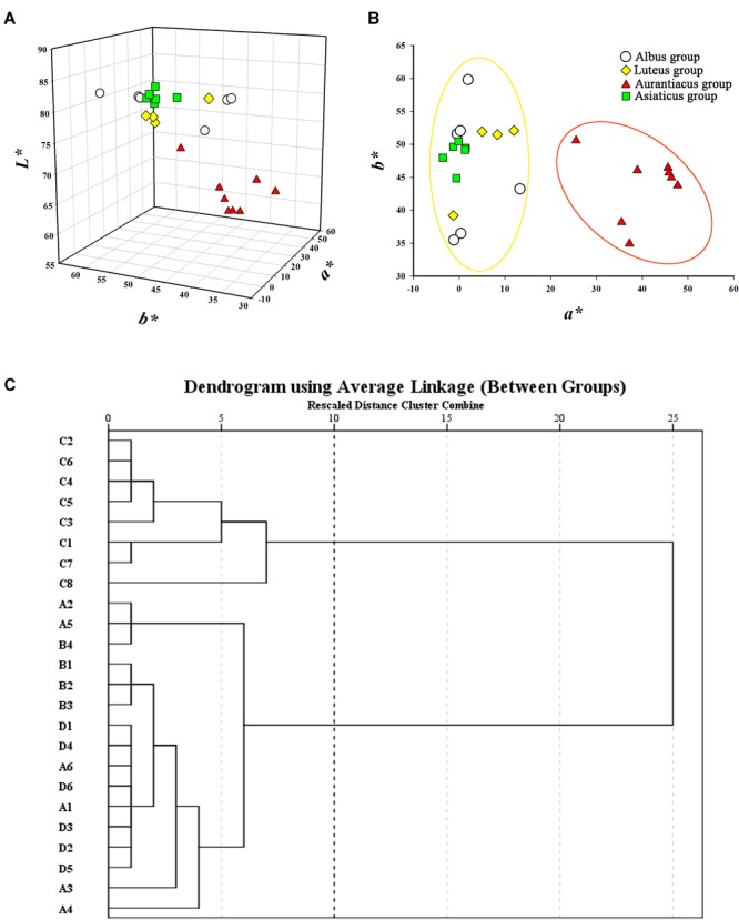 FIGURE 3