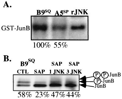 FIG. 7