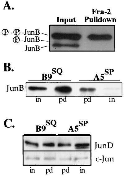 FIG. 8