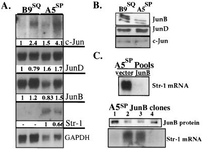 FIG. 4