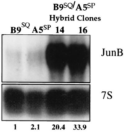 FIG. 10