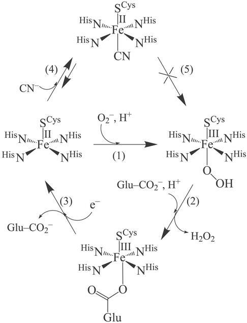 Scheme 1.