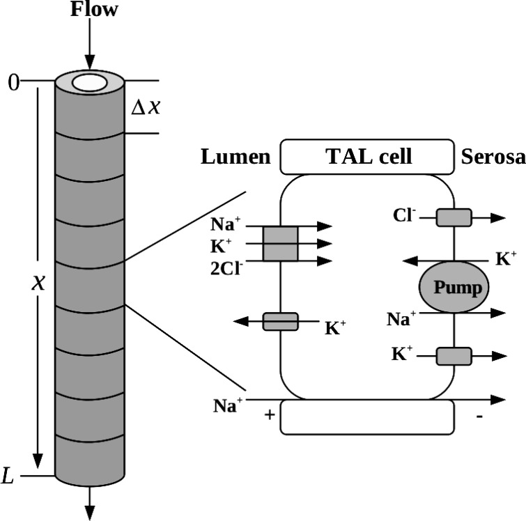 Fig. 1.