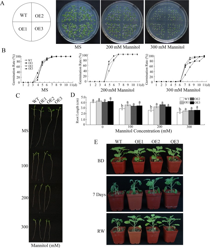 Fig 4