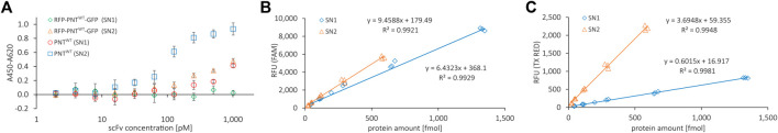 FIGURE 3