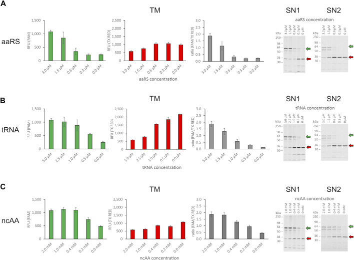 FIGURE 4