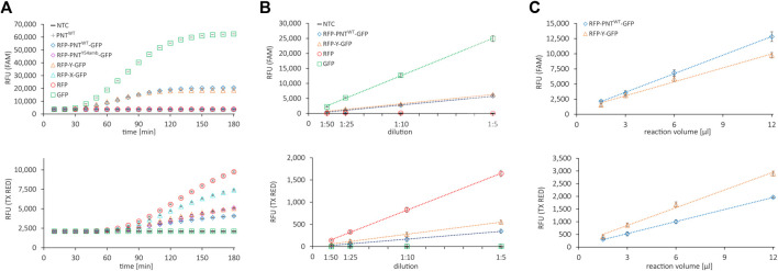 FIGURE 2