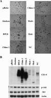 FIG. 7.