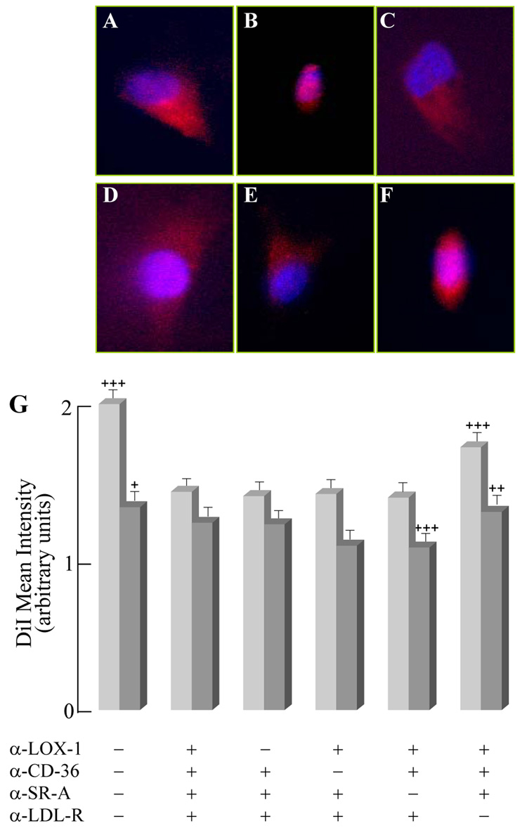 Fig. 10