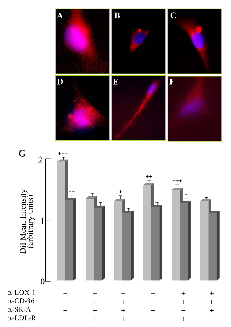 Fig. 11