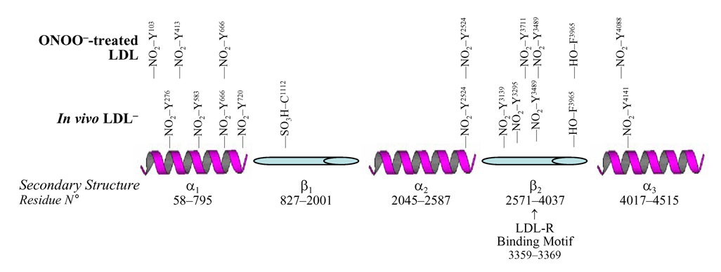 Fig. 12