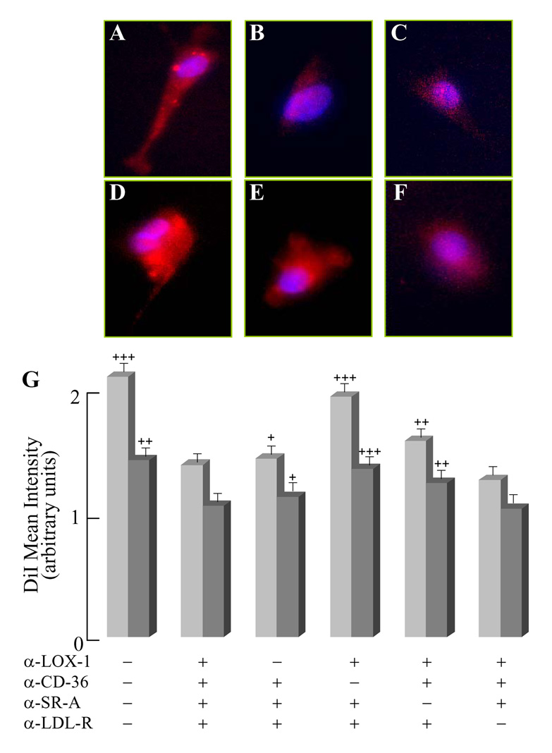 Fig. 9