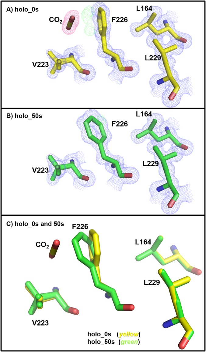 Fig. S3.