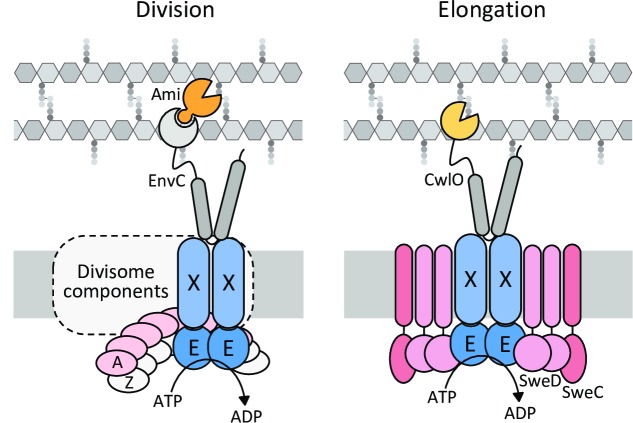 Fig 8