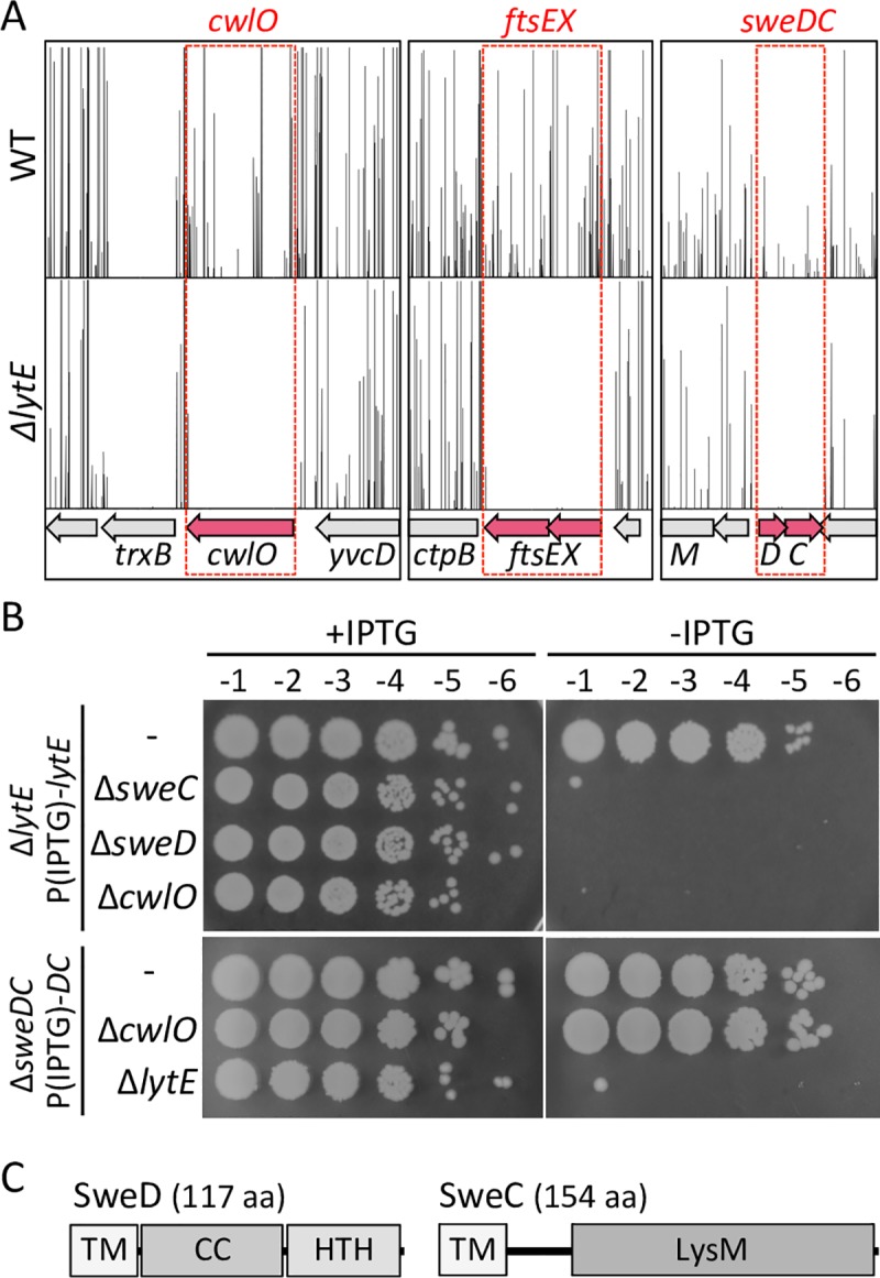 Fig 1