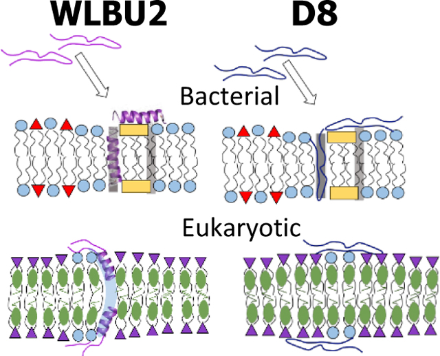 graphic file with name nihms-1622102-f0007.jpg