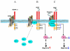 Fig. 7.