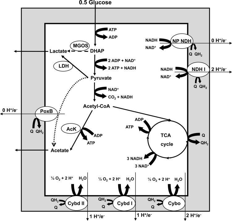 Fig 1