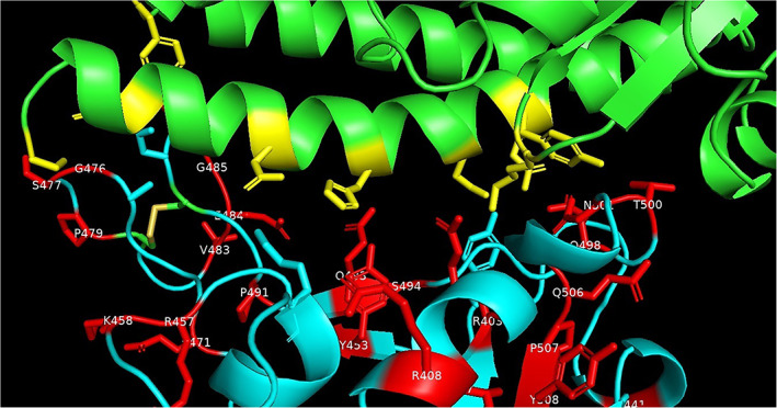 FIGURE 4