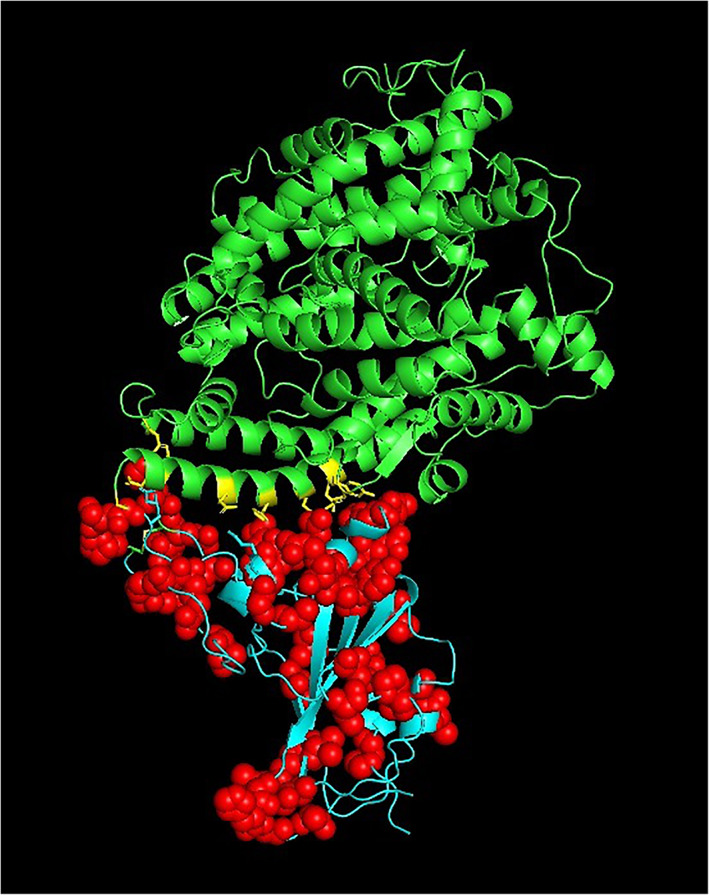 FIGURE 2