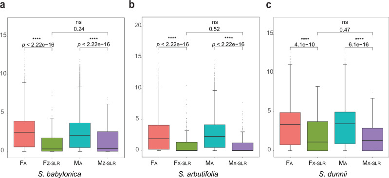 Fig. 7