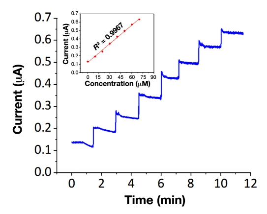 Figure 3.