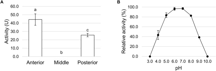 FIGURE 12