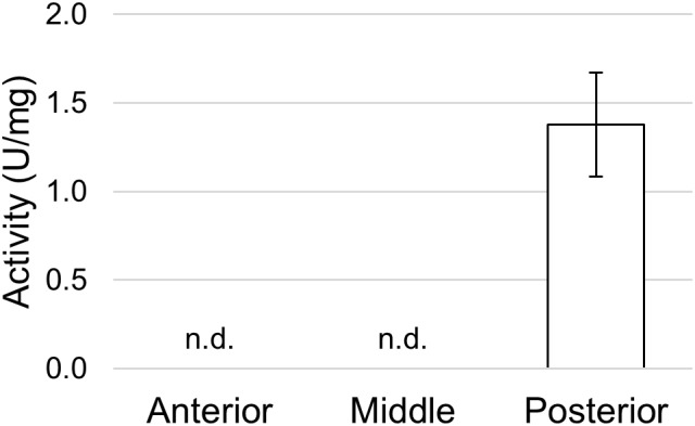 FIGURE 11