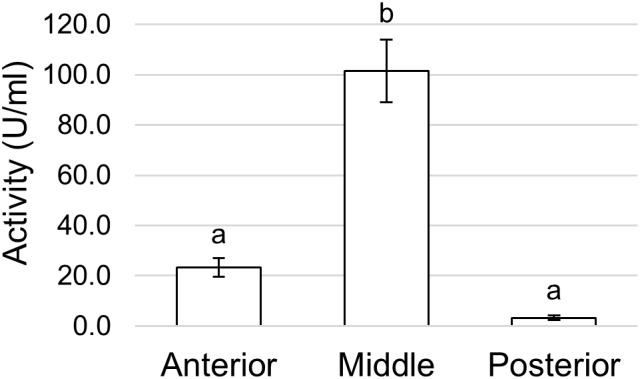 FIGURE 13