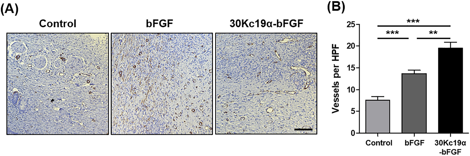 Figure 9.