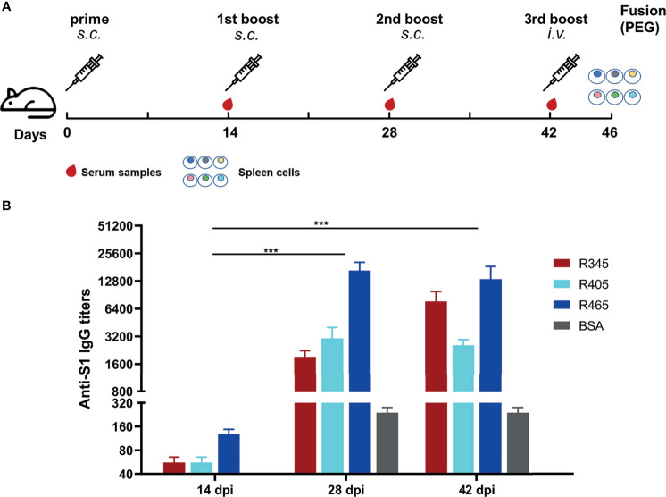 Figure 2