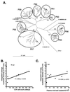 FIG. 2.