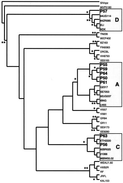 FIG. 1.