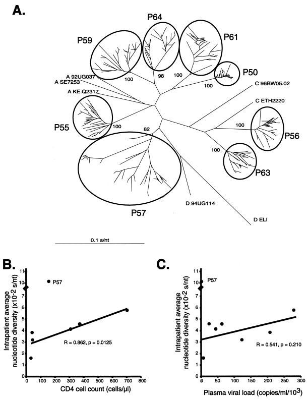 FIG. 2.