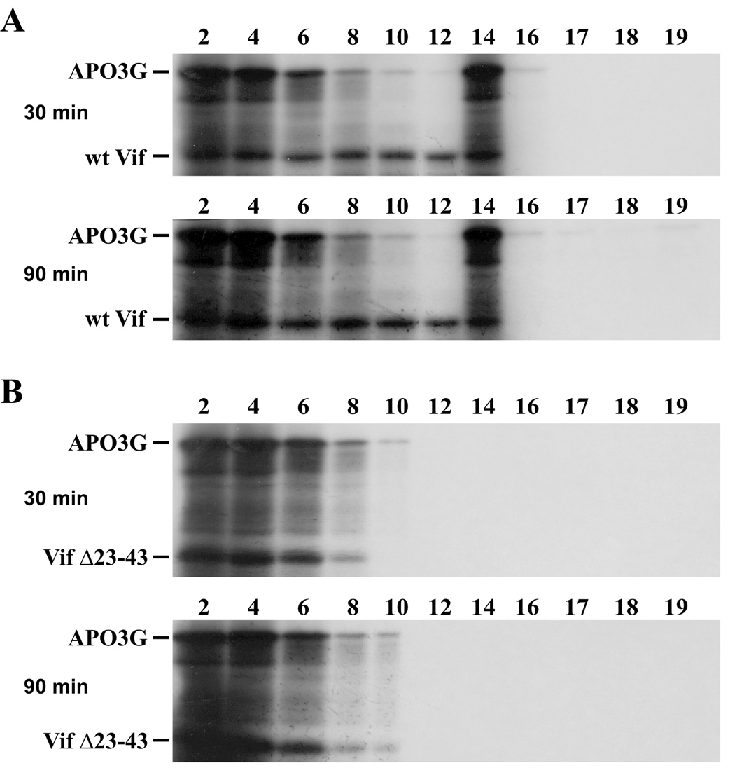 Fig. 5