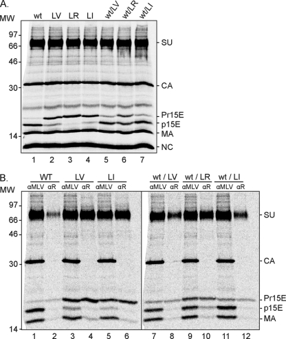 FIG. 2.