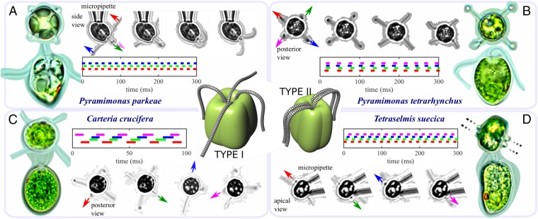 Fig. 6.