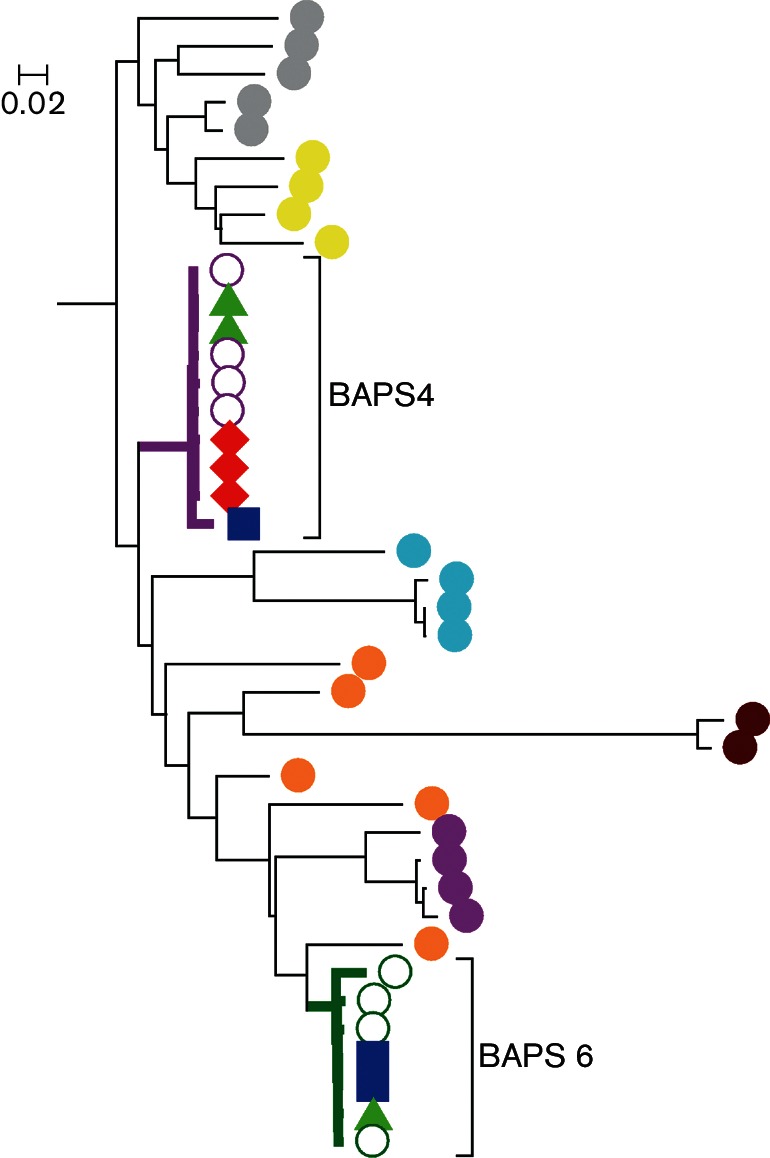 Fig. 4.