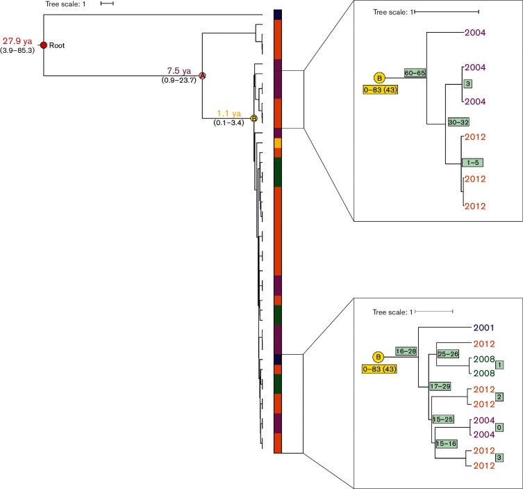 Fig. 3.