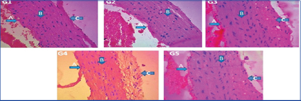 [Table/Fig-8]: