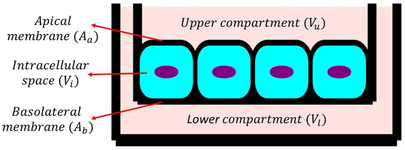 Fig. 2.