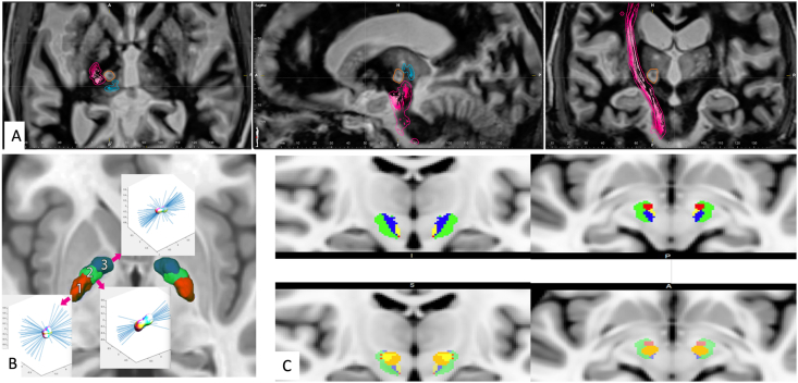 Fig. 1