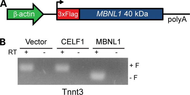 Figure 1.