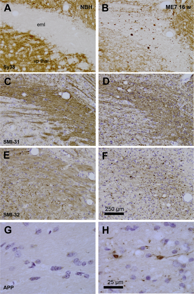 Figure 5