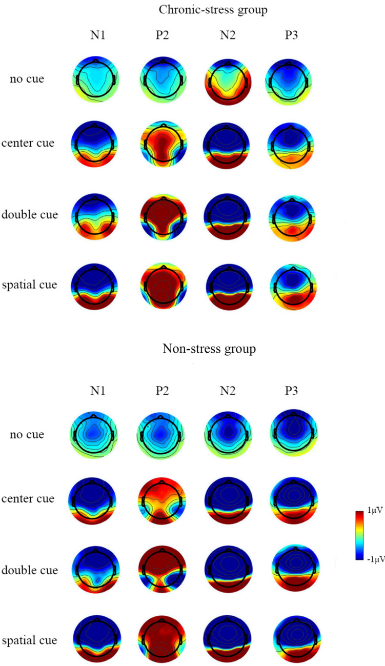 Fig. 3