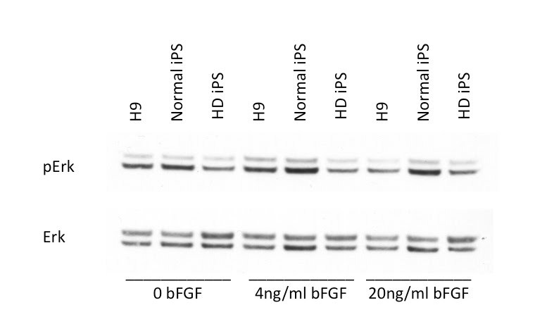 graphic file with name figure-2.jpg