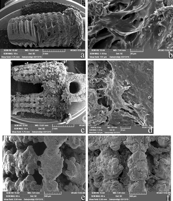 Fig. 6