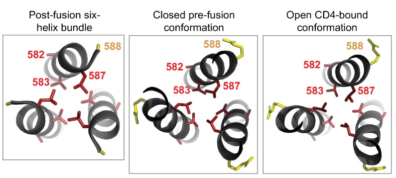 Figure 7—figure supplement 1.