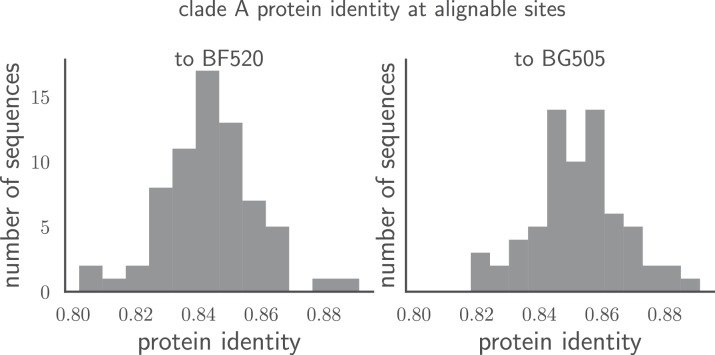 Figure 1—figure supplement 1.