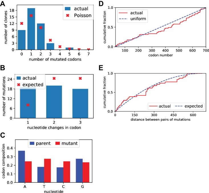 Figure 2—figure supplement 1.